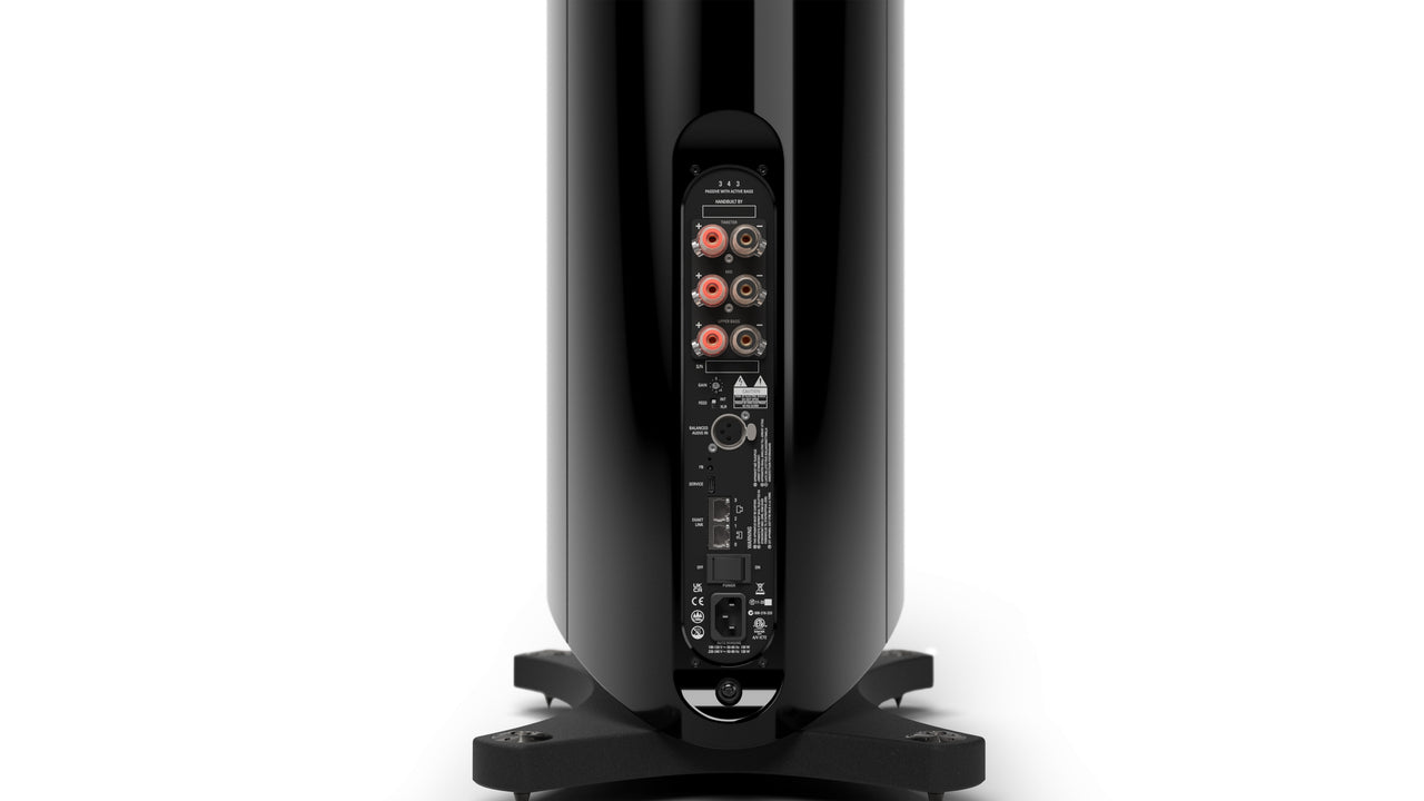 Product Image of the rear of the Linn 343 Speaker with the passive module in Piano Black