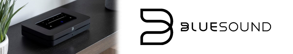 Bluesound Banner